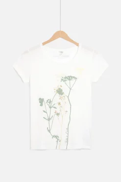 Online T-Shirt Maxine Ivoire Femme Tops Et T-Shirts